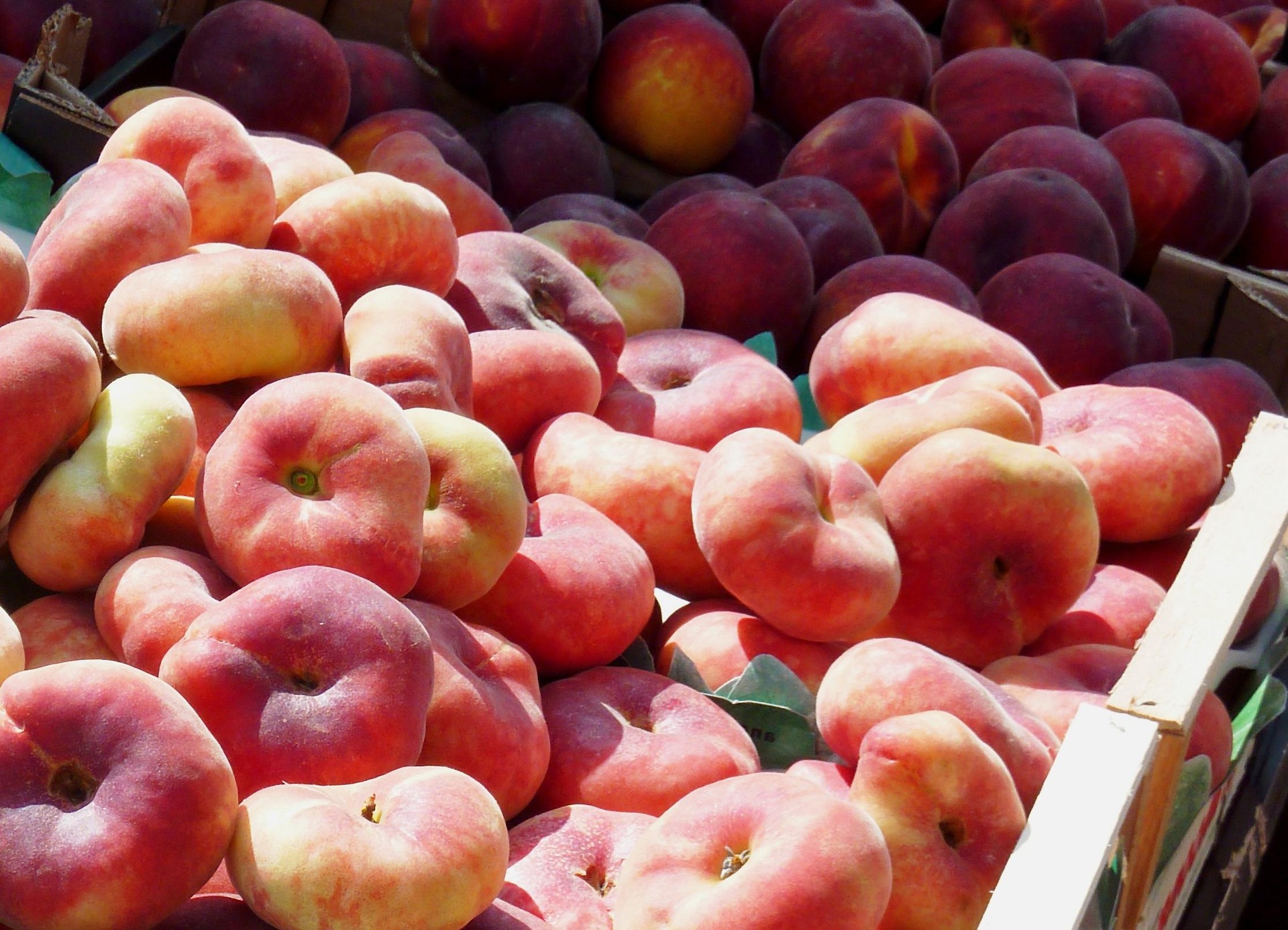 Pêches mûres de saison pour la recette